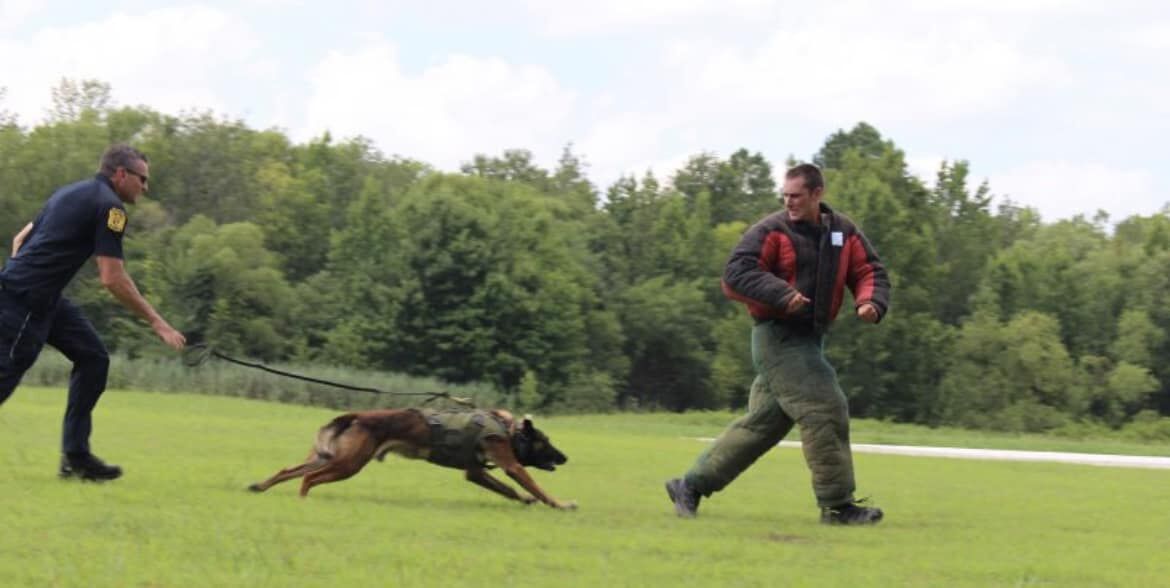 Charlestown Police holding public demonstration of K-9 teams